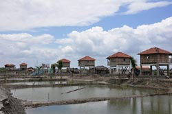 الأمم المتحدة- القطاع الخاص يجب أن يشارك في الحد من مخاطر الكوارث لتجنب الخسائر الاقتصادية